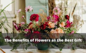 The Benefits of Flowers as the Best Gift