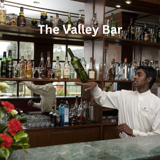 The Valley Bar