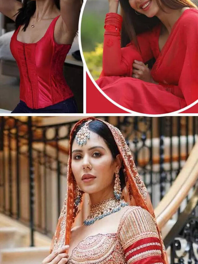 9 Times When Sonam Bajwa Looked Radiant In Red